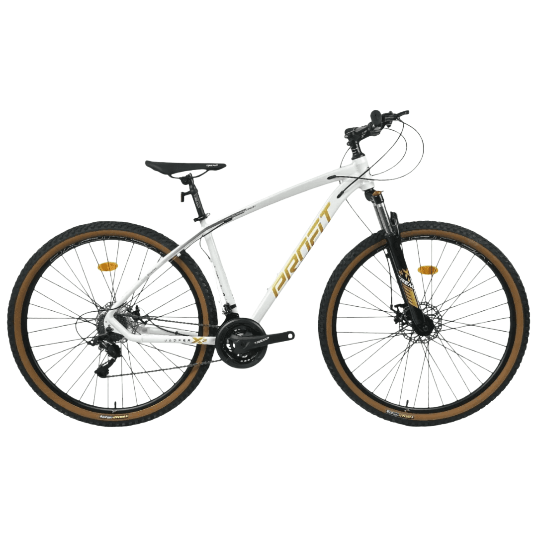 Bicicleta Profit - Boston X2