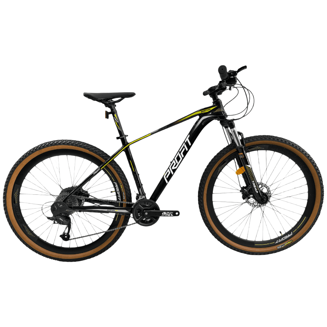 Bicicleta Profit - Boston X3 R29